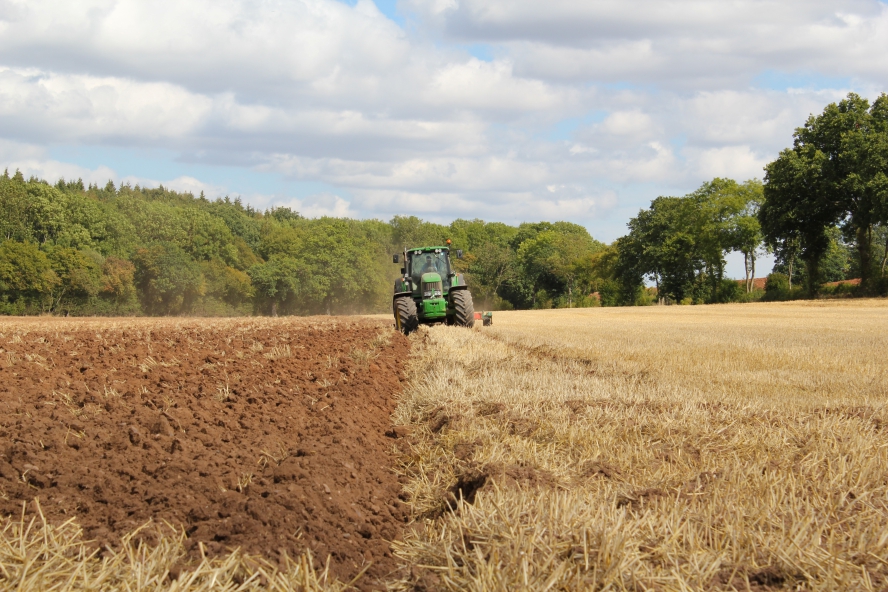 arable-farming-services-in-nassarawa-and-abuja-and-the-whole-of-nigeria